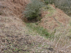 
Henllys Colliery, the old level opposite Tip Terrace, February 2012